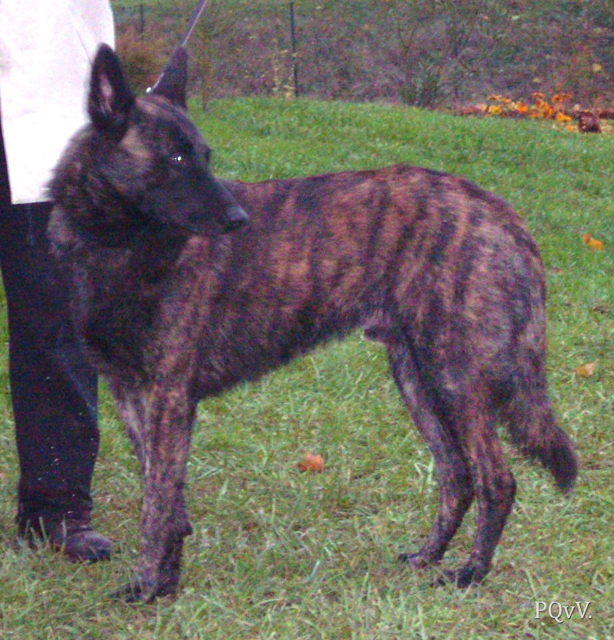  Eole des Crocs de l’Olympe